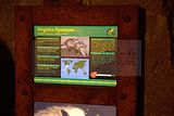 leipzig zoo-01_07_2011_gondwanaland_040